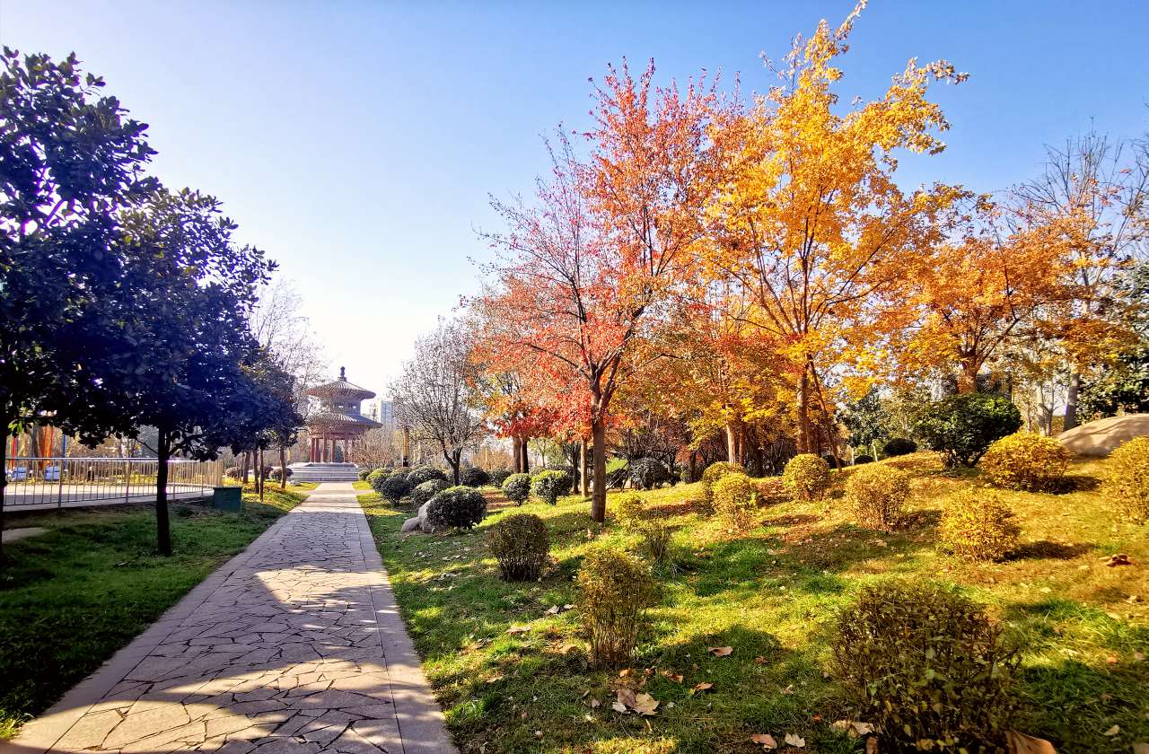 冬日清涼山森林公園山青,水綠暖陽陽