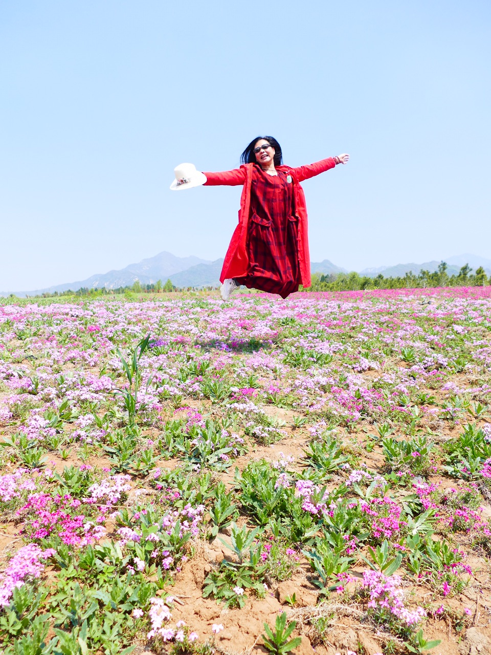 蓝田玉山花海