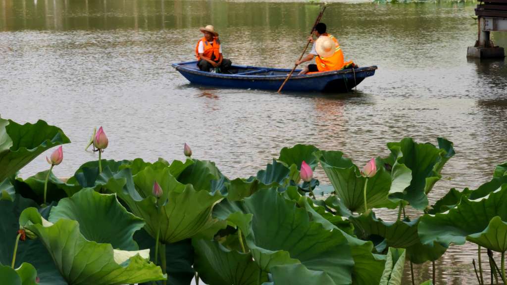 西安桃花潭中学生图片图片