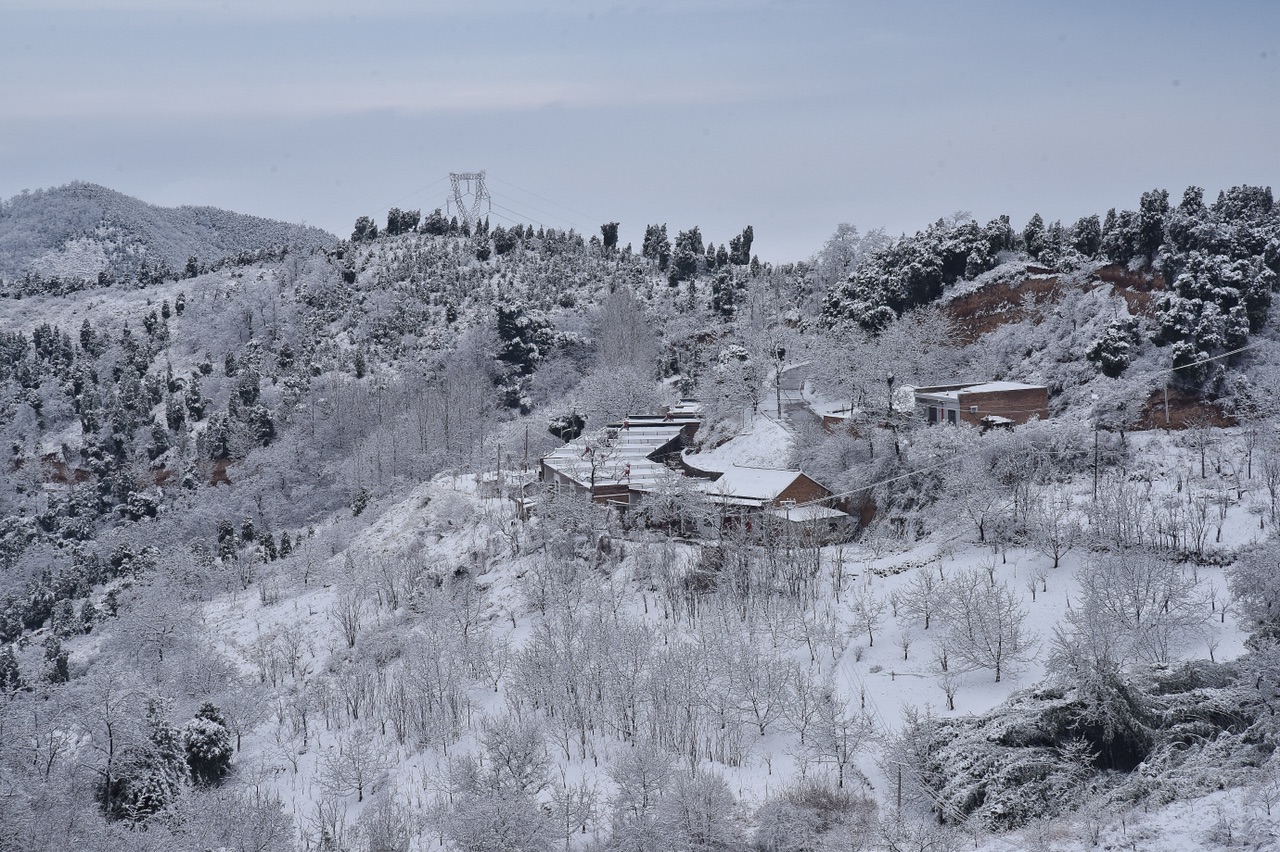 驪山春雪