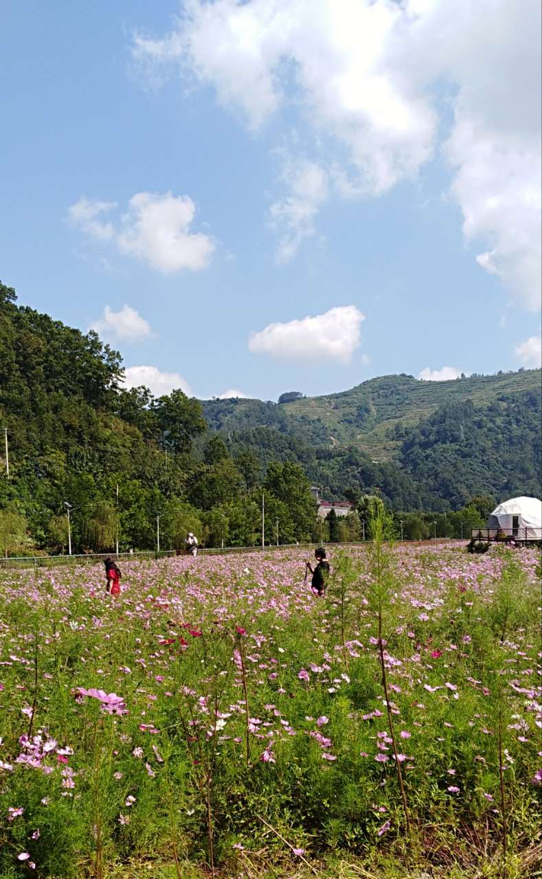 饒峰驛站中壩大峽谷,谷內風光秀麗,風格獨特,風景如畫.